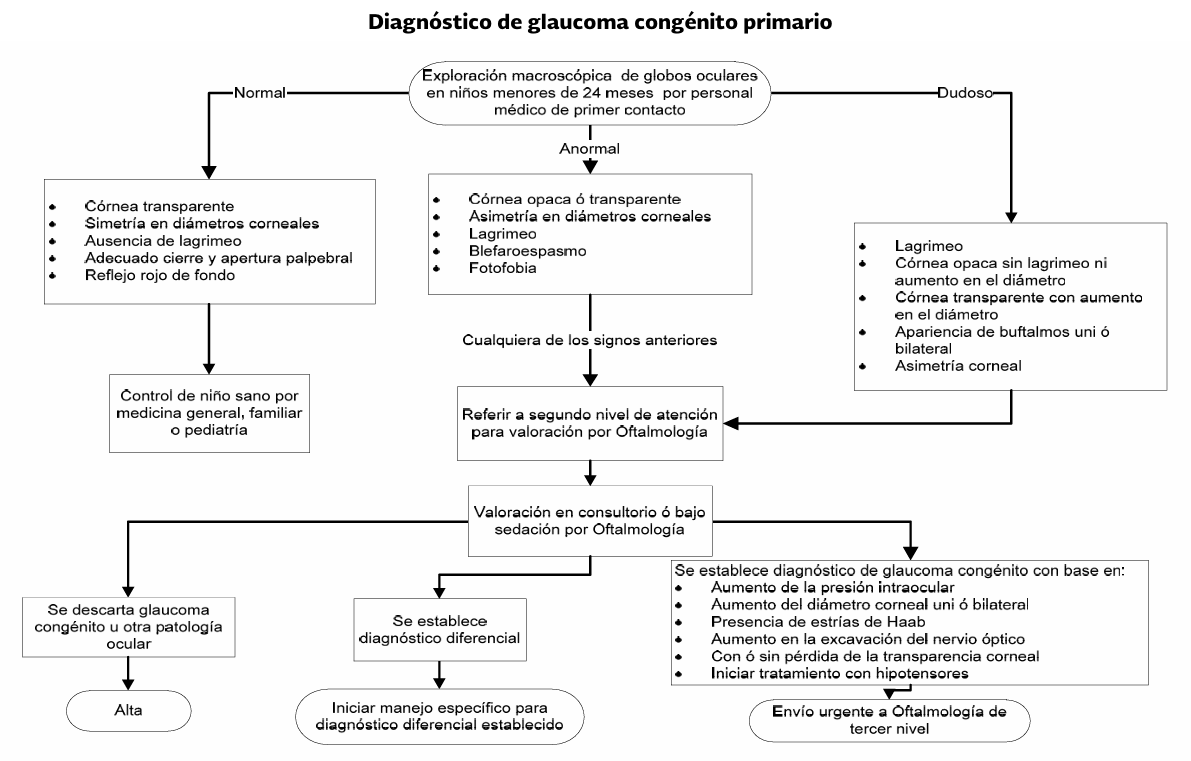 6. Algoritmo 2 - GPC-IMSS-413